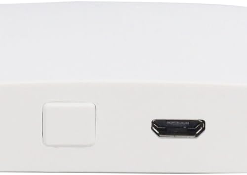 Smart Lock Gateway Bridge with Voice Control
