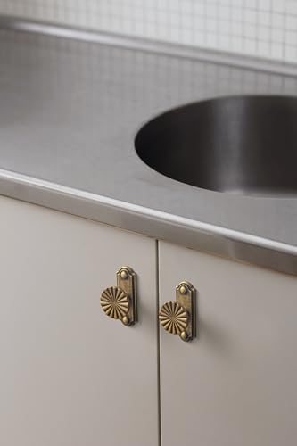 6-Piece Antique Brass Cabinet Knob Set with Backplate