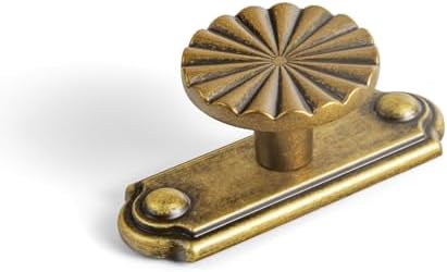 6-Piece Antique Brass Cabinet Knob Set with Backplate