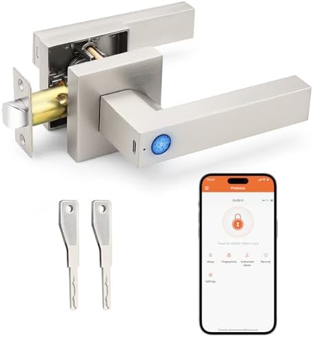 Probrico Smart Lock with Keyless Entry Door