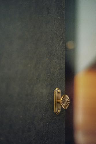 6-Piece Antique Brass Cabinet Knob Set with Backplate