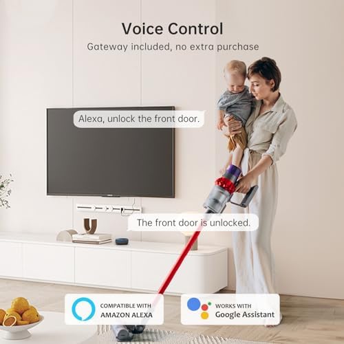 Hornbill Smart WiFi Door Lock Set