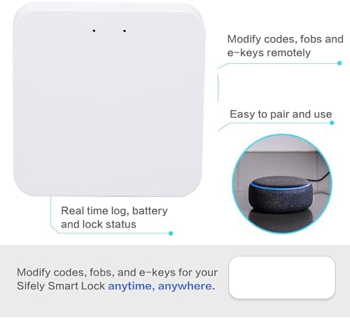 Smart Lock WiFi Hub with Voice Control and Remote Access