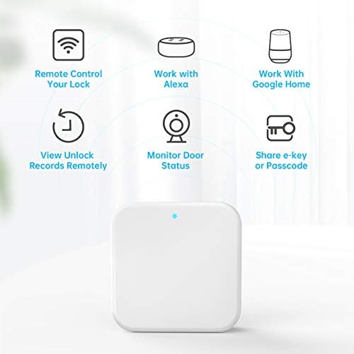 Luston Smart Door Lock with Alexa Voice Google Home Control