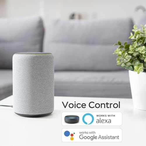 Secure Door Voice Control System