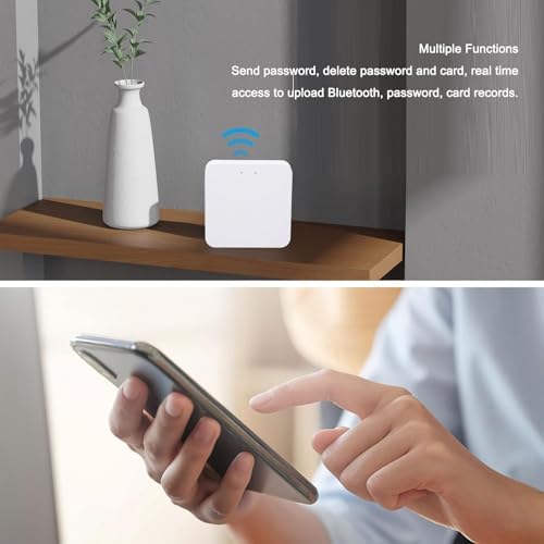 Smart Lock WiFi Hub with Voice Control and Remote Access