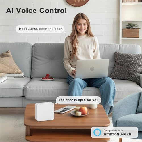 Dhiedas W2 WiFi Gateway