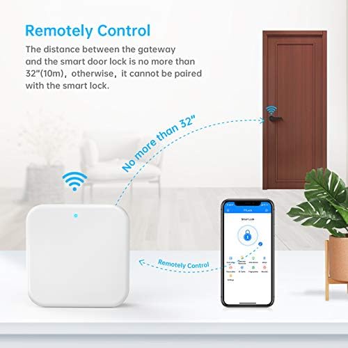 Luston Smart Door Lock with Alexa Voice Google Home Control