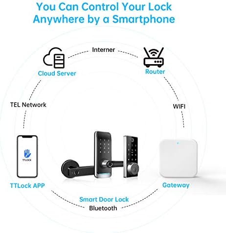 Luston Smart Door Lock with Alexa Voice Google Home Control