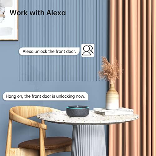 Smart Door Lock with WiFi Bridge and Alexa Compatibility