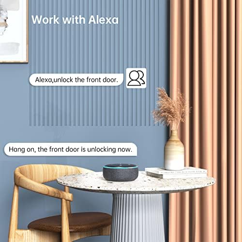 Smart Door Lock with WiFi Bridge and Alexa Compatibility