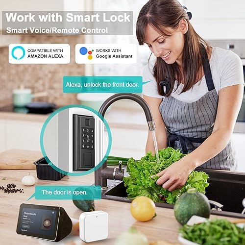 Smart Door Lock Controller Remote Unlock Deadbolt with Alexa Integration